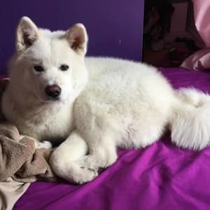 Meet your Posher, Milah